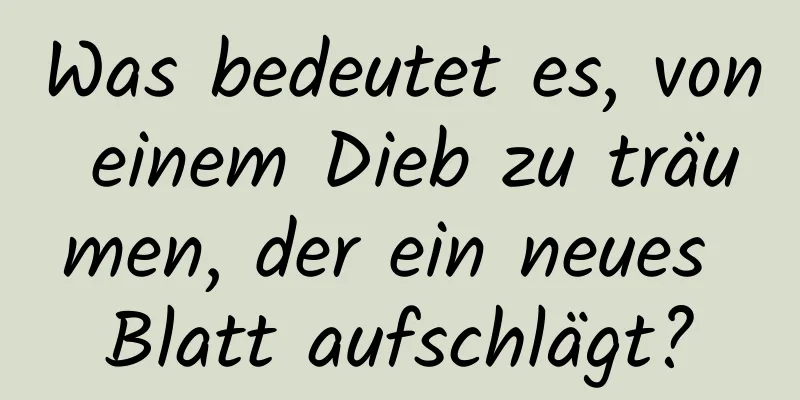 Was bedeutet es, von einem Dieb zu träumen, der ein neues Blatt aufschlägt?