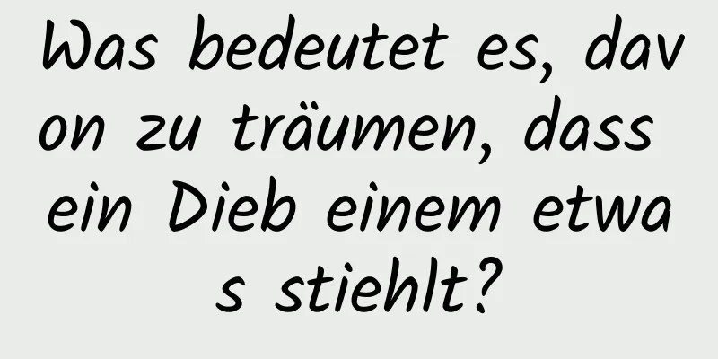 Was bedeutet es, davon zu träumen, dass ein Dieb einem etwas stiehlt?