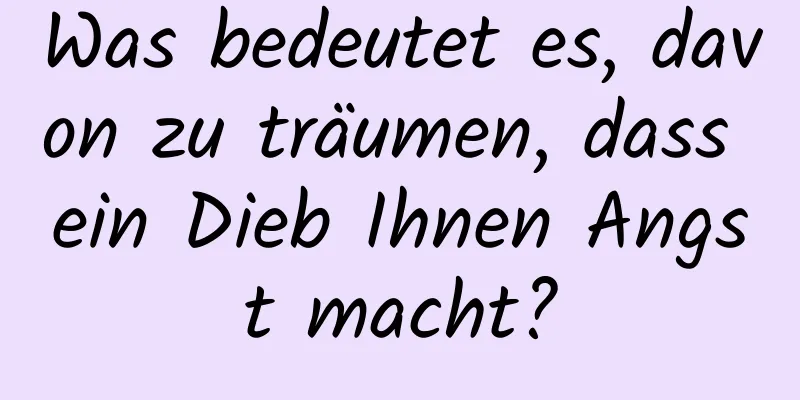 Was bedeutet es, davon zu träumen, dass ein Dieb Ihnen Angst macht?