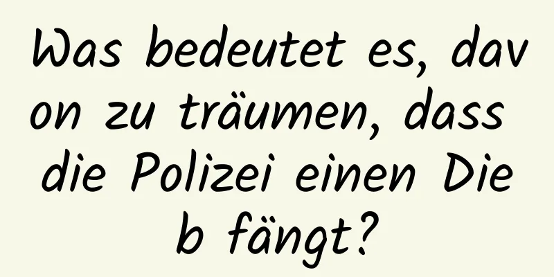 Was bedeutet es, davon zu träumen, dass die Polizei einen Dieb fängt?