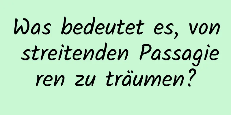 Was bedeutet es, von streitenden Passagieren zu träumen?