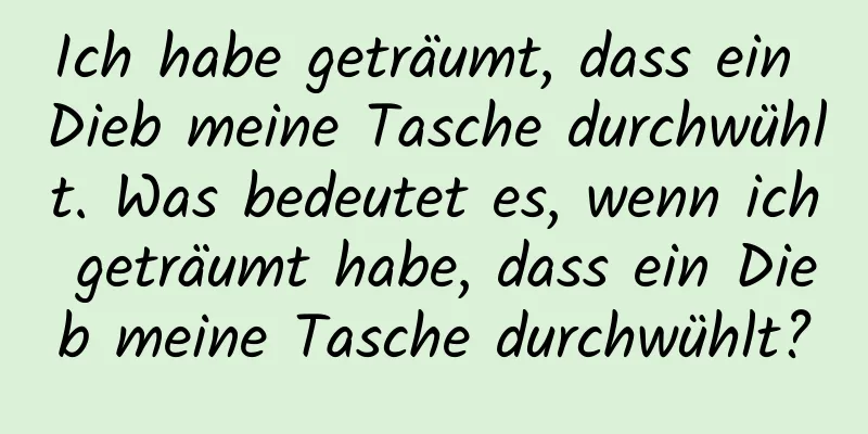 Ich habe geträumt, dass ein Dieb meine Tasche durchwühlt. Was bedeutet es, wenn ich geträumt habe, dass ein Dieb meine Tasche durchwühlt?