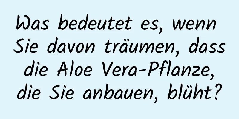 Was bedeutet es, wenn Sie davon träumen, dass die Aloe Vera-Pflanze, die Sie anbauen, blüht?