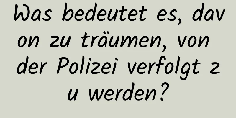 Was bedeutet es, davon zu träumen, von der Polizei verfolgt zu werden?