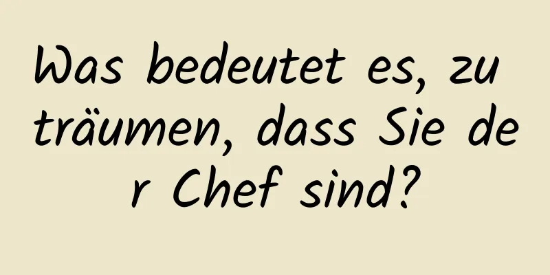 Was bedeutet es, zu träumen, dass Sie der Chef sind?