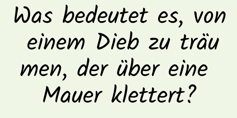 Was bedeutet es, von einem Dieb zu träumen, der über eine Mauer klettert?