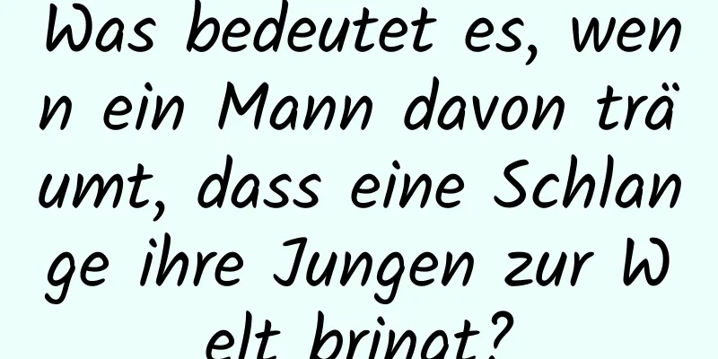 Was bedeutet es, wenn ein Mann davon träumt, dass eine Schlange ihre Jungen zur Welt bringt?