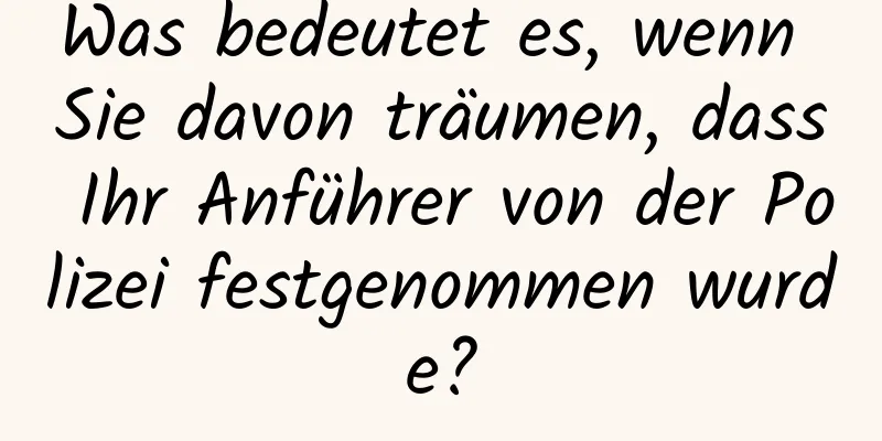 Was bedeutet es, wenn Sie davon träumen, dass Ihr Anführer von der Polizei festgenommen wurde?