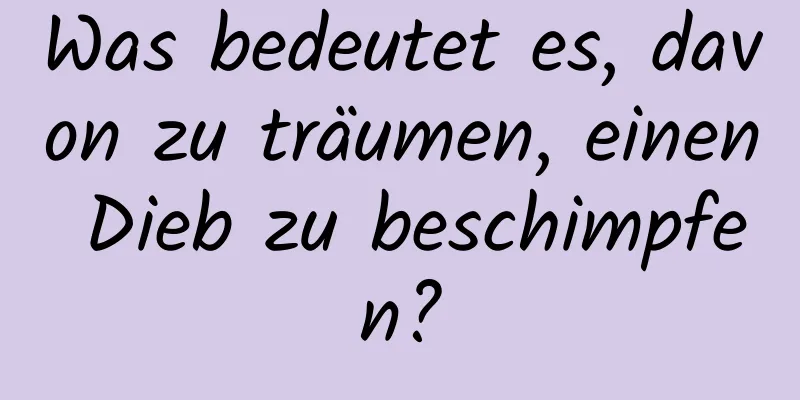 Was bedeutet es, davon zu träumen, einen Dieb zu beschimpfen?