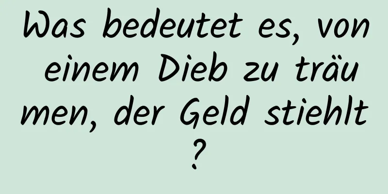 Was bedeutet es, von einem Dieb zu träumen, der Geld stiehlt?