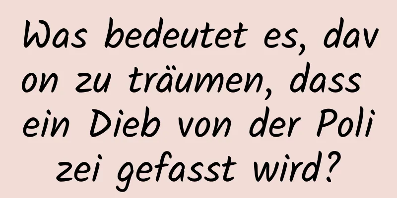 Was bedeutet es, davon zu träumen, dass ein Dieb von der Polizei gefasst wird?