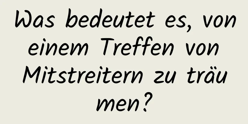 Was bedeutet es, von einem Treffen von Mitstreitern zu träumen?